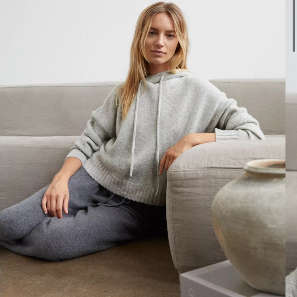 aritzia cashmere hoodie